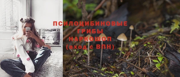 таблы Лиски